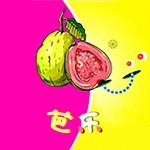 硬汉视频在线下载
