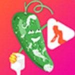 机机对机机直播软件app下载免费最新版