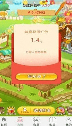 淘金城镇2